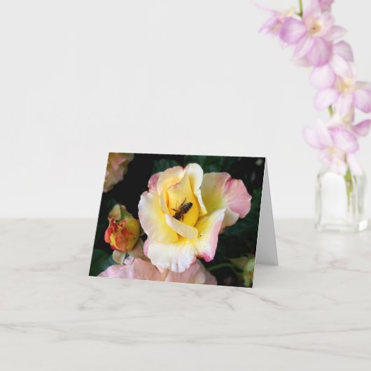 Bee op roze gele rozenbloemen kaart (Orchidee)