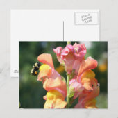 Bee op Snapdragon Flower Photo Briefkaart (Voorkant / Achterkant)