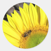 Bee op zonnebloem Sluiten Foto Ronde Sticker (Voorkant)