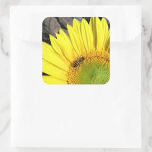 Bee op zonnebloem Sluiten Foto Vierkante Sticker
