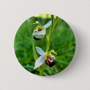 Bee Orchid Badge Ronde Button 5,7 Cm