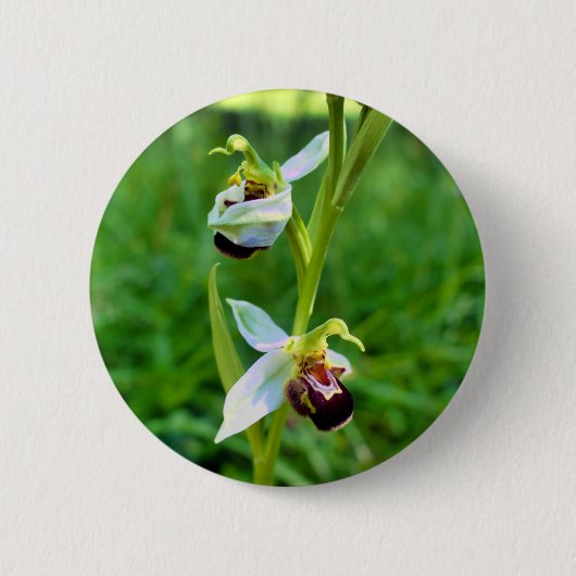 Bee Orchid Badge Ronde Button 5,7 Cm (Voorkant)