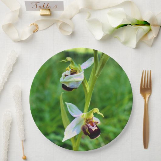 Bee Orchid Paper Bord (Huwelijk)