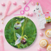 Bee Orchid Paper Bord (Feest)