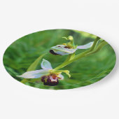 Bee Orchid Paper Bord (Gekanteld)