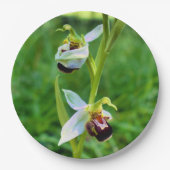 Bee Orchid Paper Bord (Voorkant)