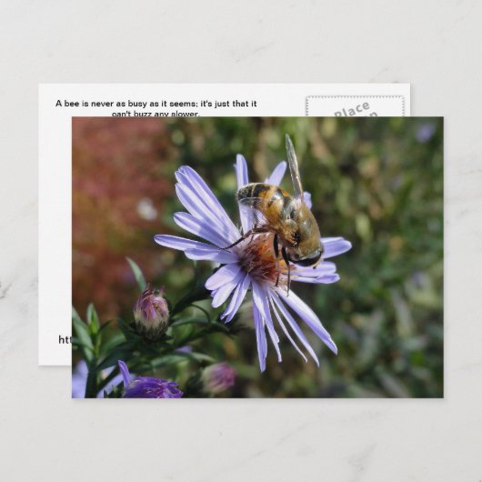 Bee Poscard Briefkaart (Voorkant / Achterkant)