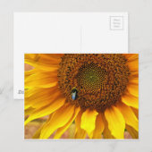 Bee Sunny Briefkaart (Voorkant / Achterkant)