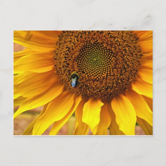 Bee Sunny Briefkaart (Voorkant)