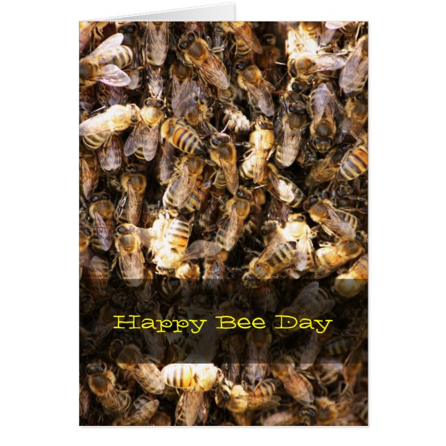 Bee Swarm (Voorkant)