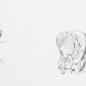 Bee Textured Wallpaper Behang (Zoom)