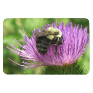 Bee & Thistle Magnet Magneet