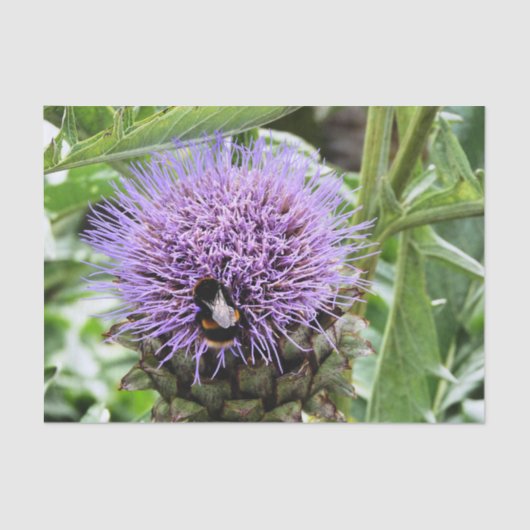 BEE TISSUEPAPIER (Voorkant)