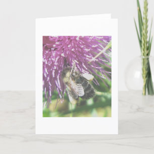 Bee Verzamelen Thistle Pollen Note Kaart