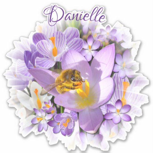 Bee verzamelt Nectar van Crocus Flowers Sticker (Voorkant)