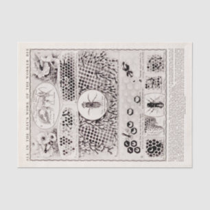 Bee Vintage Poster uit de onderwijsreeks Tissuepapier