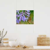 Bee Vliegen naar Paarse Lily Flowers Waterverf Sty Poster (Keuken)