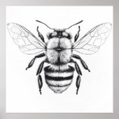 Bee Wilde Natuur Dierlijke Illustratie Kunst Teken Poster (Voorkant)