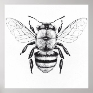 Bee Wilde Natuur Dierlijke Illustratie Kunst Teken Poster