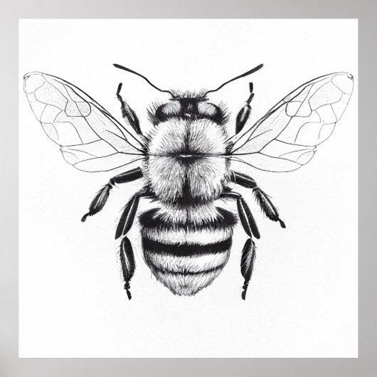 Bee Wilde Natuur Dierlijke Illustratie Kunst Teken Poster (Voorkant)