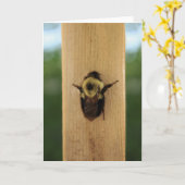 Bee-zilla Kaart (Gele Bloem)