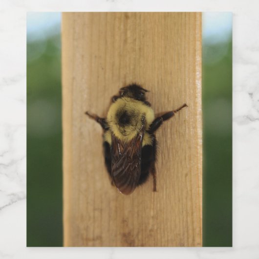 Bee-zilla Wijn Etiket (Enkel label)