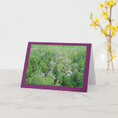 Beebalm in Prairie Garden Blank Note Kaart (Gele Bloem)