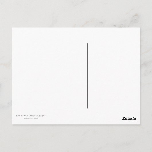 Beech Briefkaart (Achterkant)