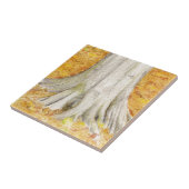 beech Feet Tegeltje (Zijkant)