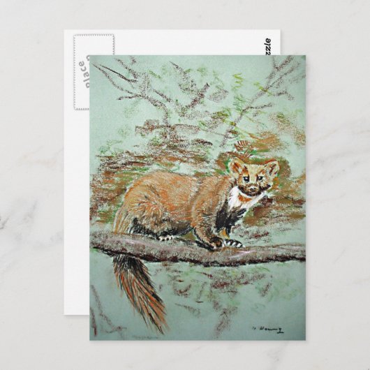 Beech marten briefkaart (Voorkant / Achterkant)