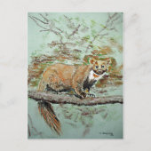 Beech marten briefkaart (Voorkant)