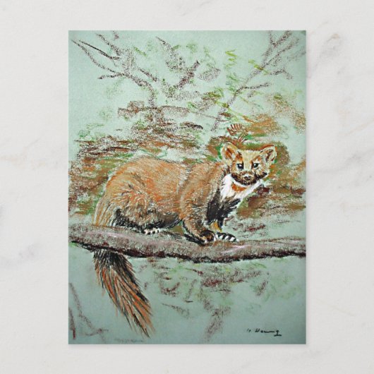 Beech marten briefkaart (Voorkant)