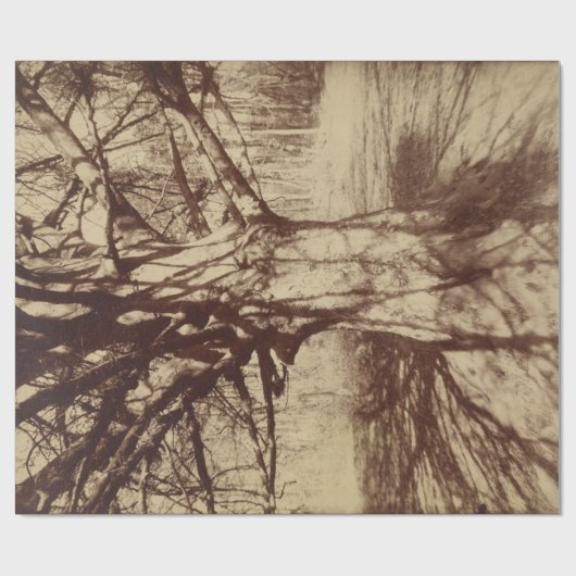 Beech Tree (door Eugène Atget) Cadeaupapier (Vlak)