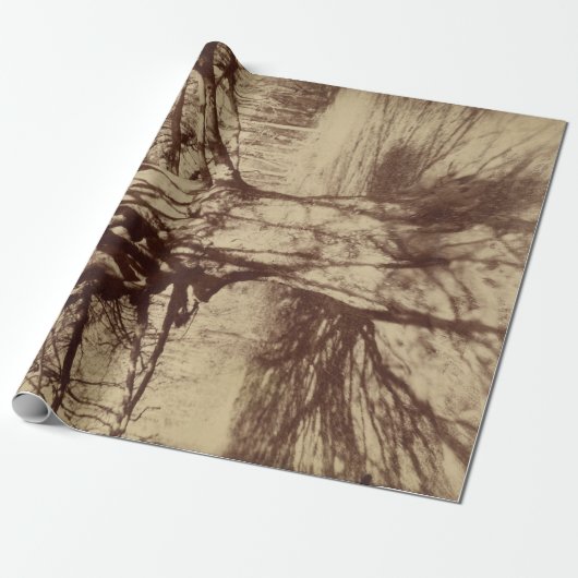 Beech Tree (door Eugène Atget) Cadeaupapier (Uitgerold)