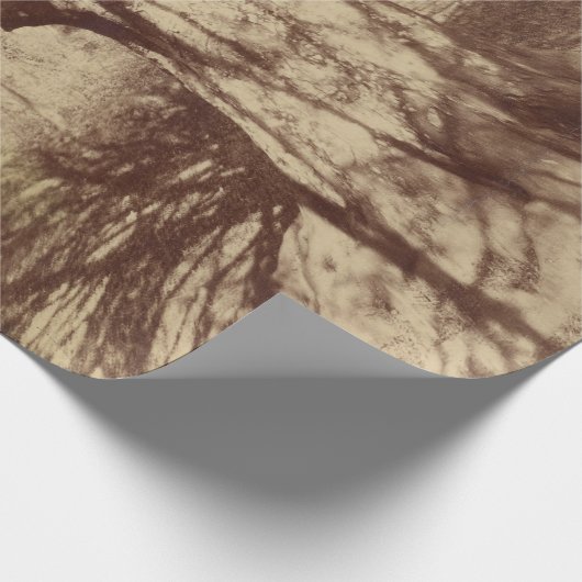 Beech Tree (door Eugène Atget) Cadeaupapier (Hoek)