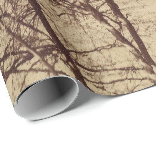 Beech Tree (door Eugène Atget) Cadeaupapier (Rol Hoek)