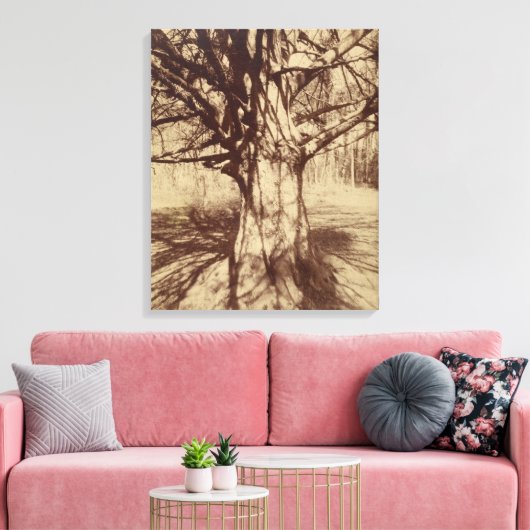 Beech Tree (door Eugène Atget) Canvas Afdruk (Insitu (Woonkamer))