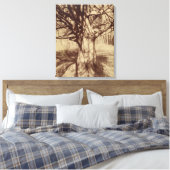 Beech Tree (door Eugène Atget) Canvas Afdruk (Insitu (Slaapkamer))