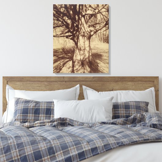 Beech Tree (door Eugène Atget) Canvas Afdruk (Insitu (Slaapkamer))