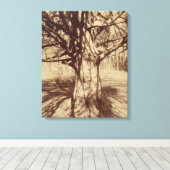 Beech Tree (door Eugène Atget) Canvas Afdruk (Insitu (Houten vloer))
