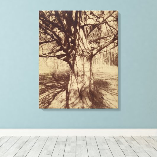 Beech Tree (door Eugène Atget) Canvas Afdruk (Insitu (Houten vloer))