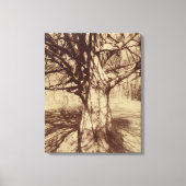 Beech Tree (door Eugène Atget) Canvas Afdruk (Voorkant)