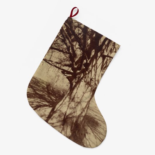 Beech Tree (door Eugène Atget) Grote Kerstsok (Voorkant (Hangend))