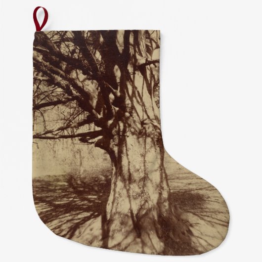 Beech Tree (door Eugène Atget) Grote Kerstsok (Voorkant)