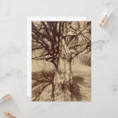 Beech Tree (door Eugène Atget) Kaart (Voorkant / Achterkant in situ)