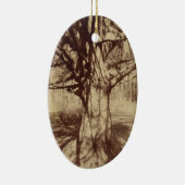 Beech Tree (door Eugène Atget) Keramisch Ornament (Rechts)
