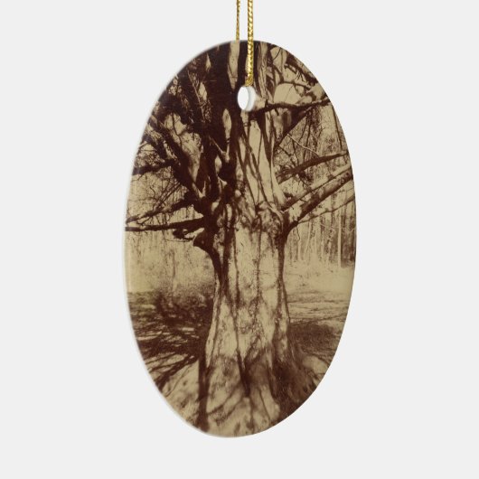Beech Tree (door Eugène Atget) Keramisch Ornament (Rechts)