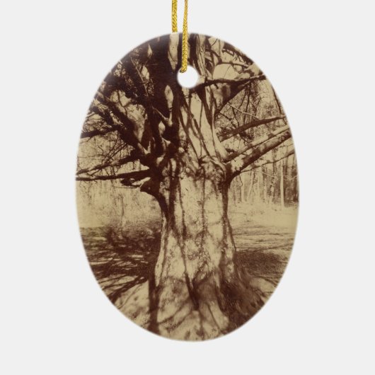 Beech Tree (door Eugène Atget) Keramisch Ornament (Achterkant)