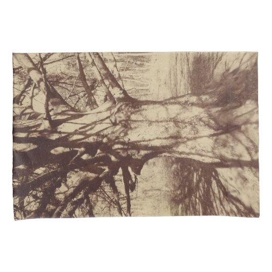 Beech Tree (door Eugène Atget) Kussensloop (Voorkant-Rechts)