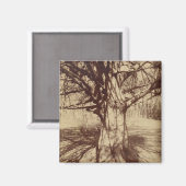 Beech Tree (door Eugène Atget) Magneet (Voorkant / Achterkant)